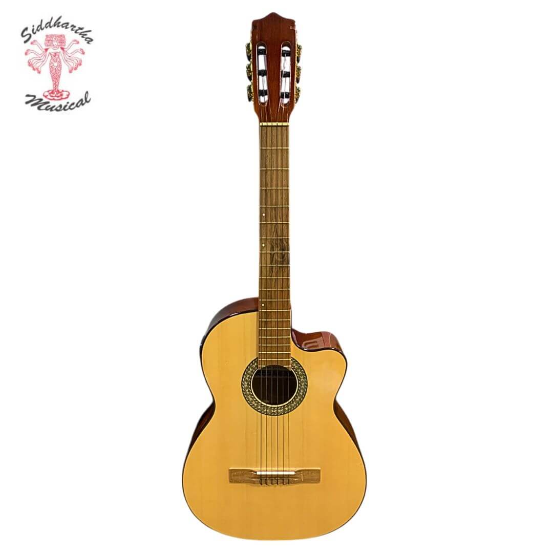 GREKO ELECTROACUSTICA (1) (1)
