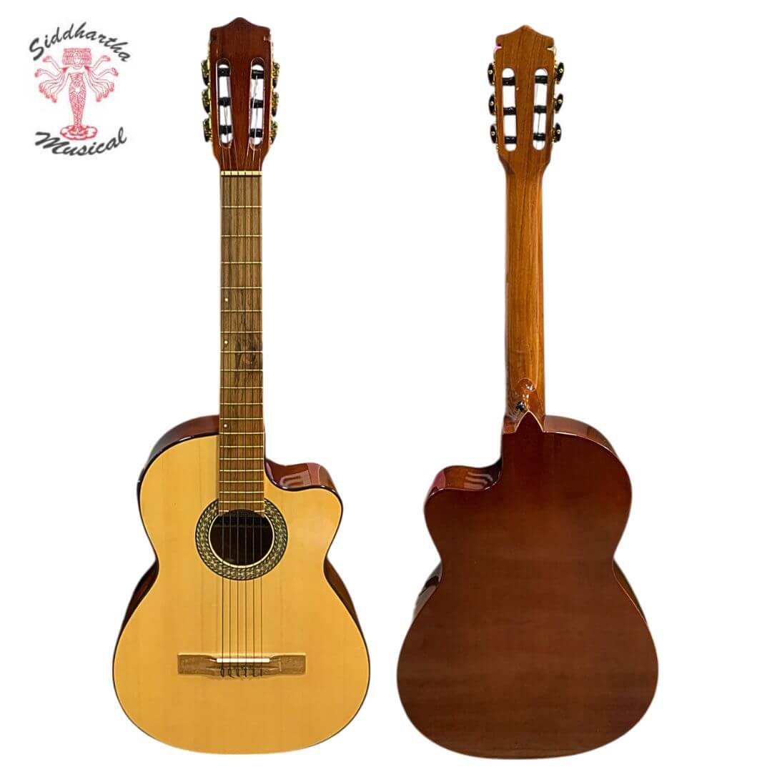 GREKO ELECTROACUSTICA (3)