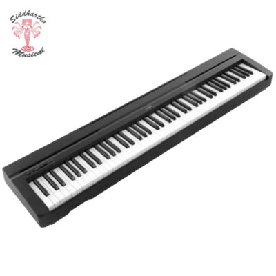 Siddhartha | PIANO ELECTRICO YAMAHA P45 CON ADAPTADOR PA150