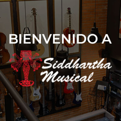 Siddhartha | Bono Cello