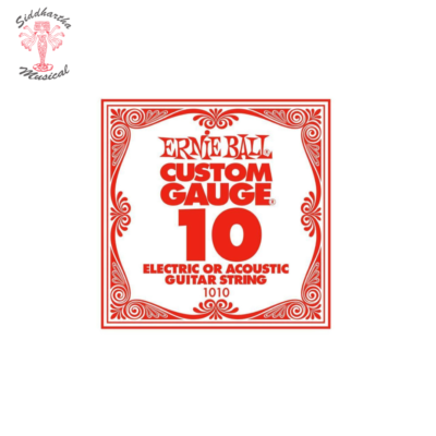 Siddhartha | CUERDA ERNIE BALL ELECTRICA 1010