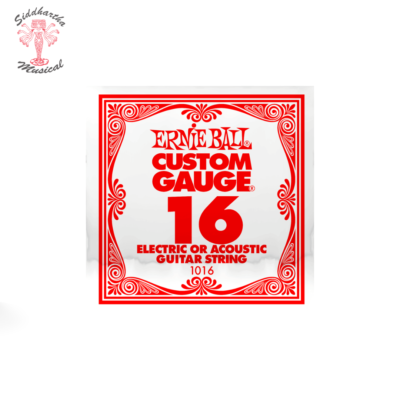 Siddhartha | CUERDA ERNIE BALL ELECTRICA 1016