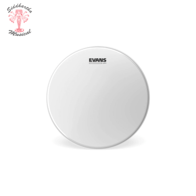 Siddhartha | PARCHE EVANS B15UV1