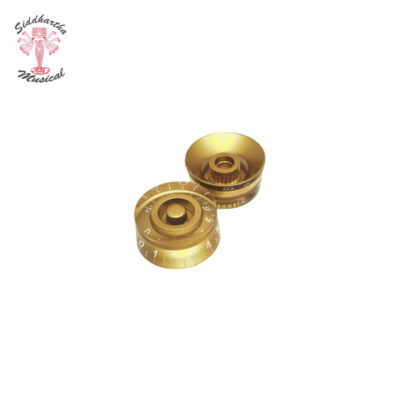 Siddhartha | CONTROL TIPO LES PAUL DORADO PN-P2