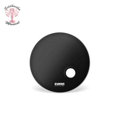 Siddhartha | PARCHE EVANS BD20REMAD