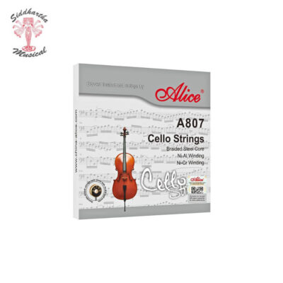 Siddhartha | ENCORDADO ALICE A807 4/4