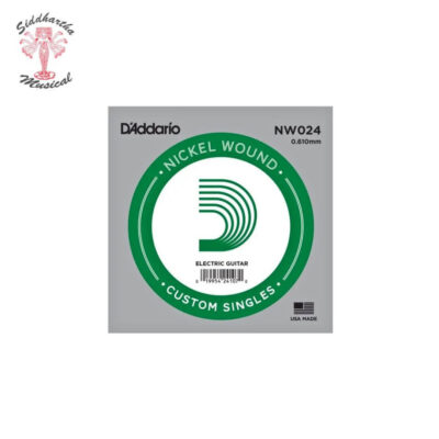 Siddhartha | CUERDA D ADDARIO NW024