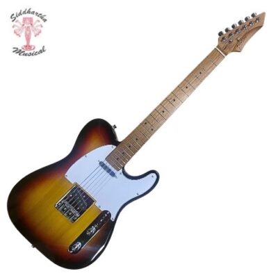 Siddhartha | GUITARRA ELECTRICA DEVISER L-TE 3TS