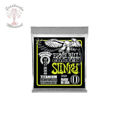 Siddhartha | ENCORDADO ERNIE BALL 3121