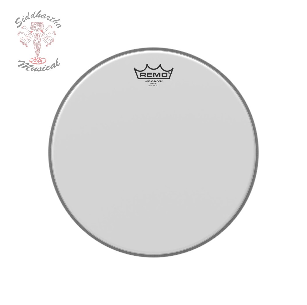 AMBASSADOR BA-0113-00