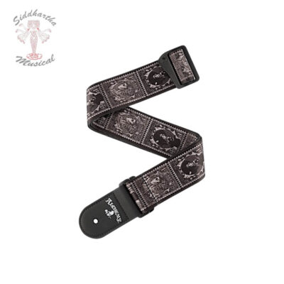 Siddhartha | CORREA PLANET WAVES 50AL09