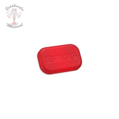 Siddhartha | SORDINA EVANS EQPODS MINI